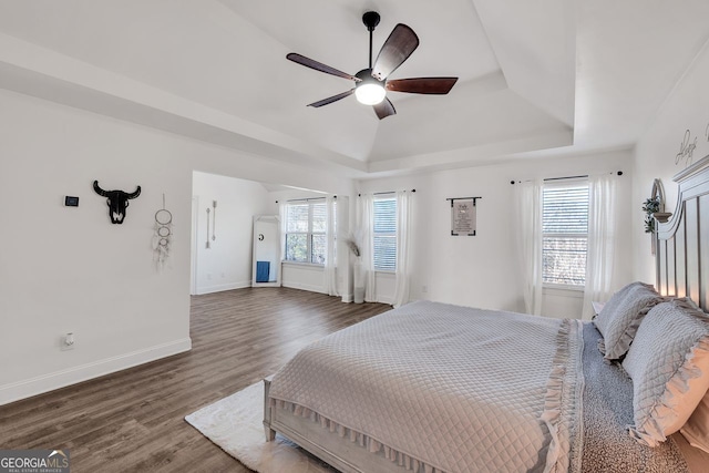 bedroom with multiple windows, dark hardwood / wood-style flooring, a raised ceiling, and ceiling fan