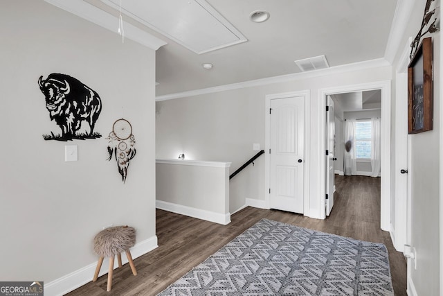 corridor with dark hardwood / wood-style flooring and ornamental molding