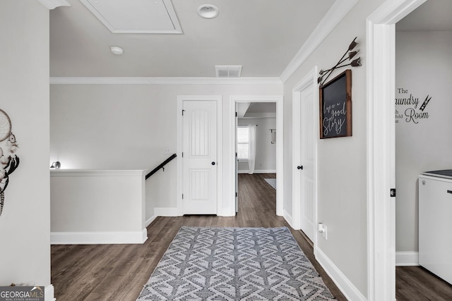 hallway featuring crown molding and dark wood-type flooring