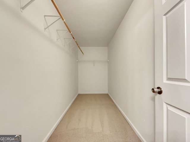 spacious closet featuring carpet floors