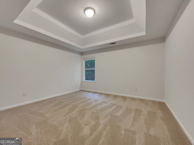 carpeted spare room with a raised ceiling