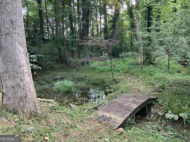 view of local wilderness