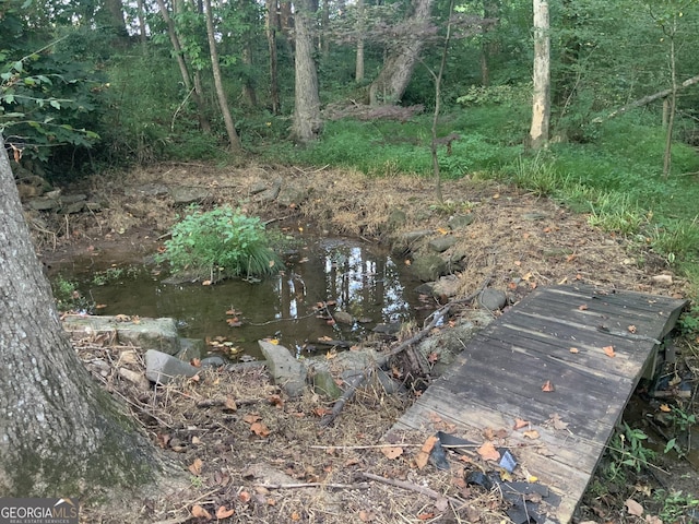 view of landscape featuring a water view