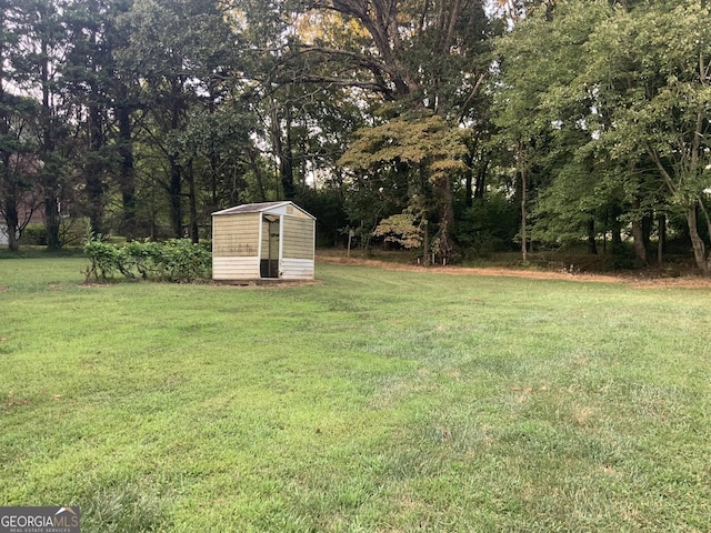 view of yard featuring a shed