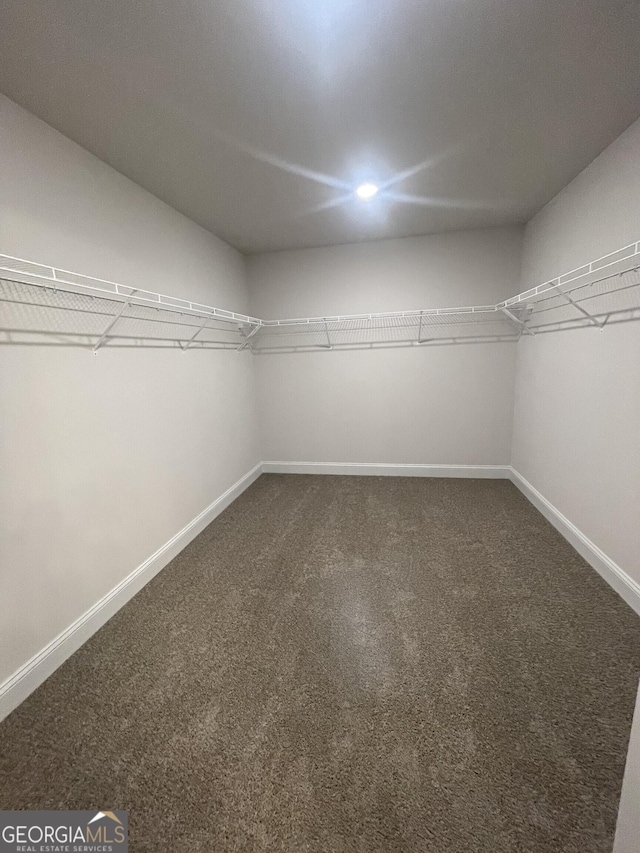 walk in closet featuring carpet