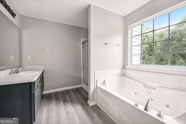 bathroom with vanity, hardwood / wood-style flooring, and independent shower and bath