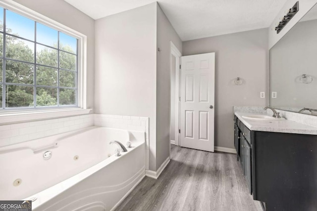 bathroom with vanity, wood-type flooring, and a bath