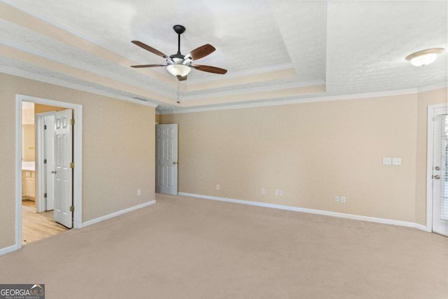 interior space featuring a raised ceiling and crown molding