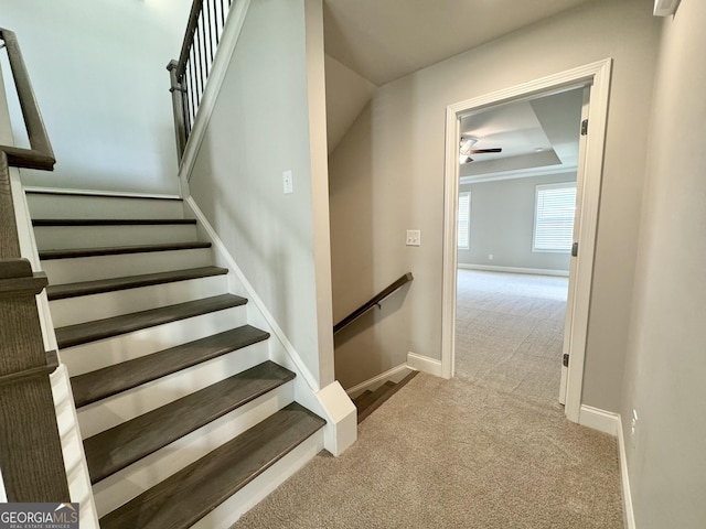 stairs with carpet flooring and ceiling fan