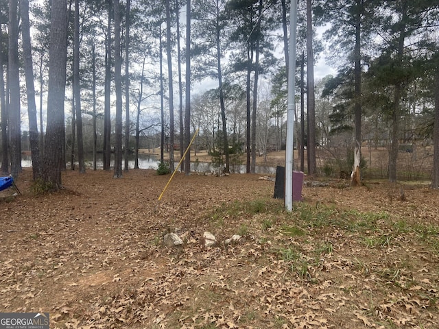 view of yard featuring a water view