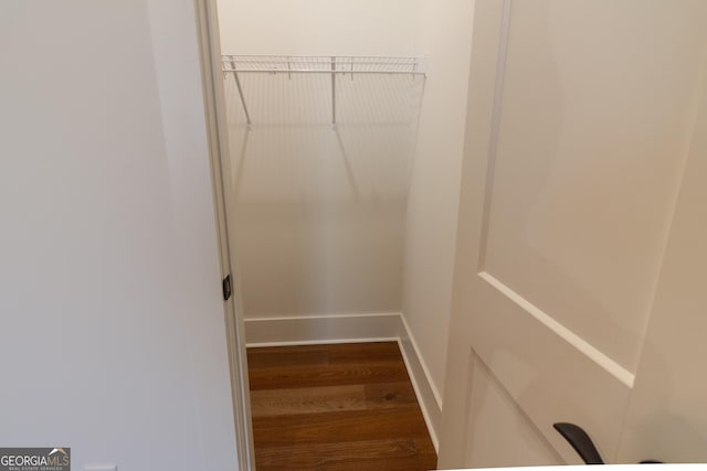 spacious closet featuring wood-type flooring