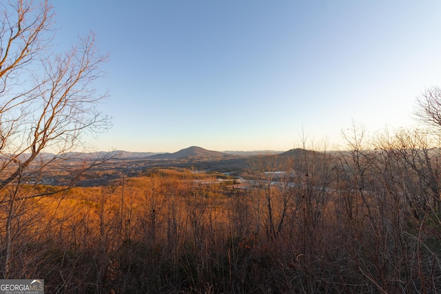 view of mountain feature