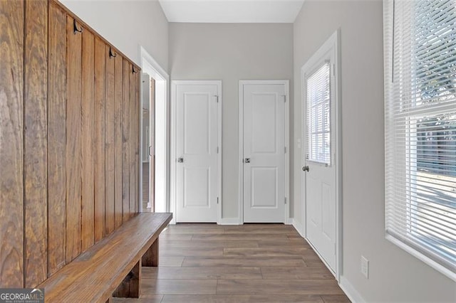 mudroom with dark wood-type flooring