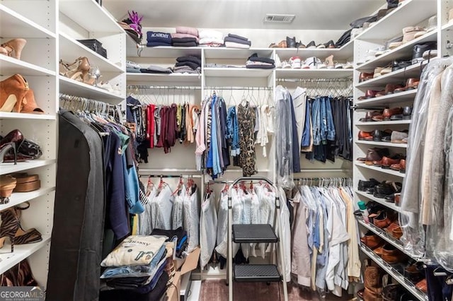 spacious closet featuring wood-type flooring