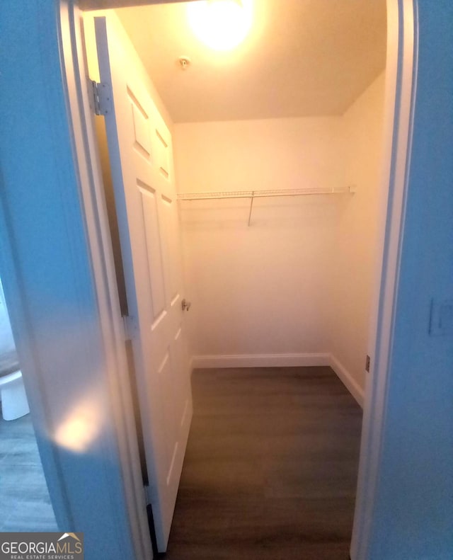 spacious closet with dark wood-type flooring