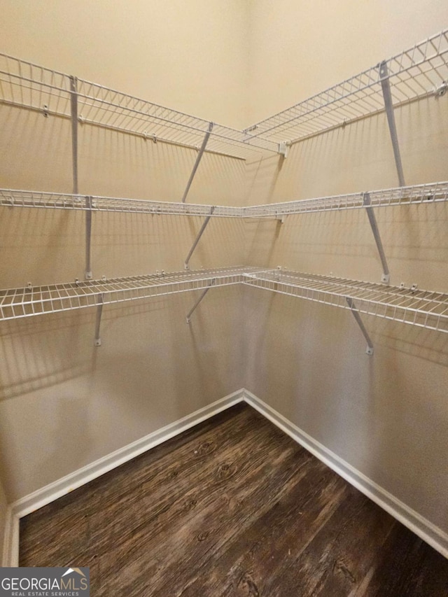 walk in closet with hardwood / wood-style flooring