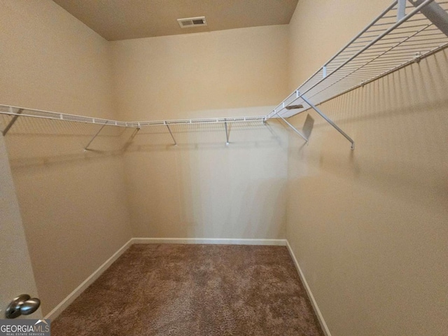 spacious closet with carpet flooring