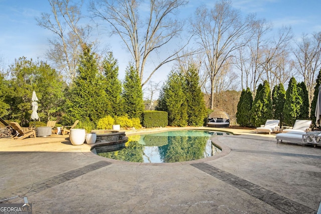 view of pool with a patio area