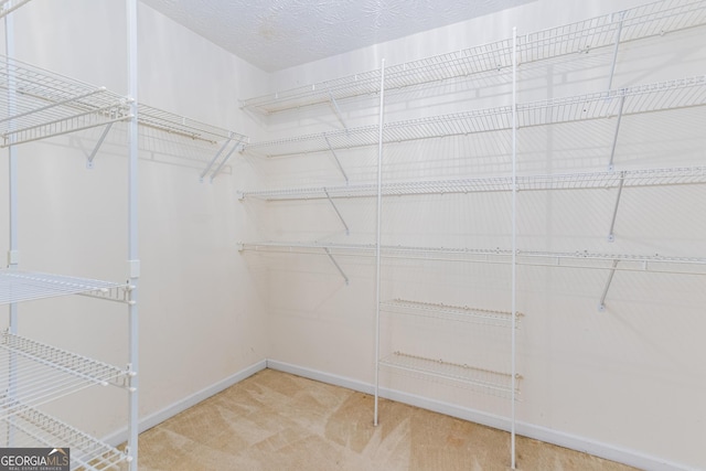 spacious closet with carpet floors