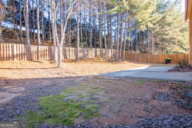 view of yard with a patio