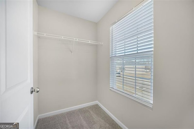 walk in closet with carpet floors