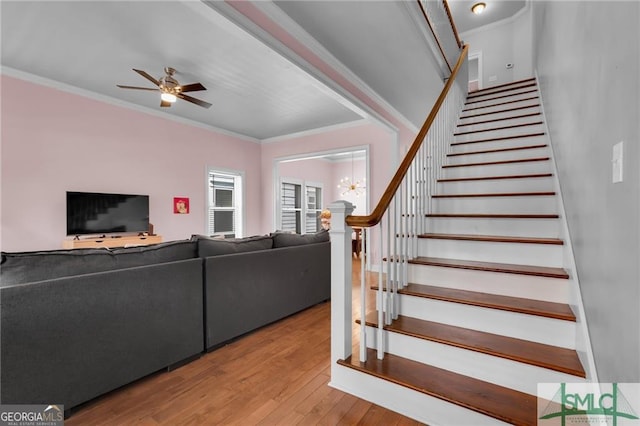 living room with ceiling fan, wood-type flooring, and ornamental molding