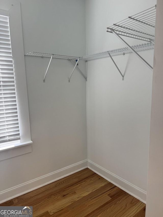 walk in closet featuring wood-type flooring