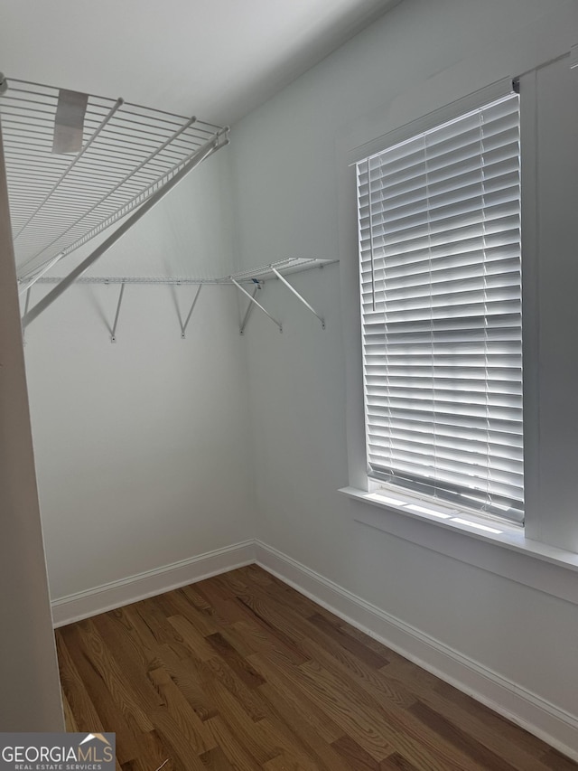 spacious closet with dark hardwood / wood-style flooring