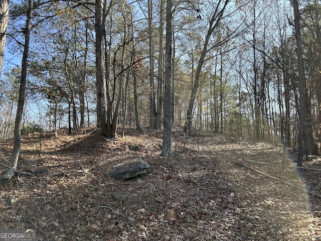 Listing photo 3 for 0 Cedar Mountain Rd, Douglasville GA 30134