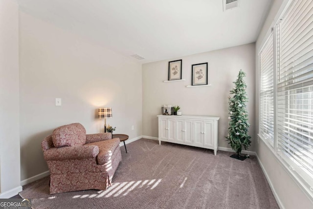 sitting room with carpet floors