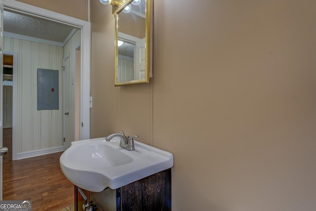 bathroom with a sink, wood finished floors, and electric panel