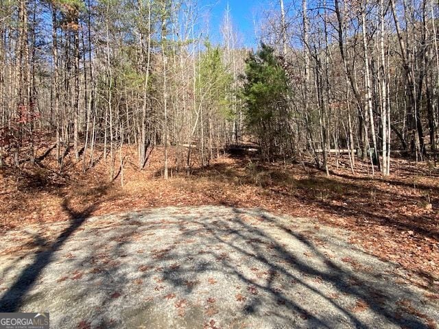 8 Cameron, Cleveland GA, 30528 land for sale