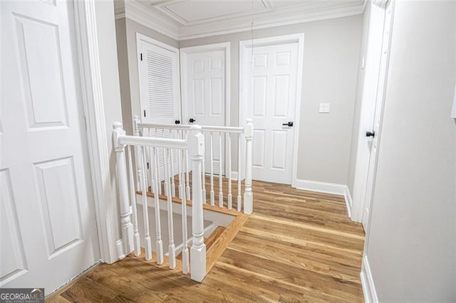 hallway with crown molding and hardwood / wood-style flooring