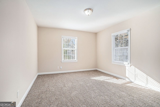 empty room featuring carpet floors