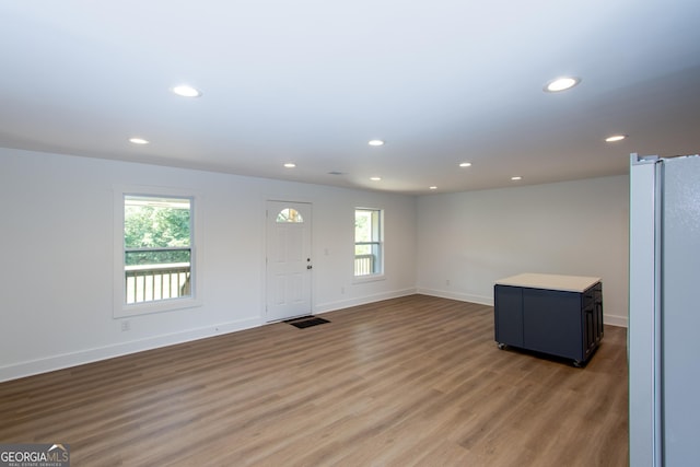 entryway featuring wood-type flooring