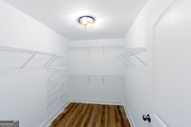 spacious closet featuring dark hardwood / wood-style floors