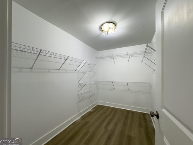 walk in closet with dark wood-type flooring