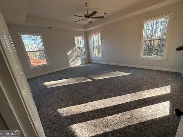 empty room featuring carpet, a raised ceiling, and a wealth of natural light