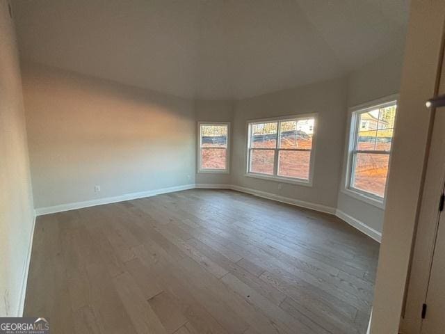 spare room featuring a healthy amount of sunlight, baseboards, and wood finished floors