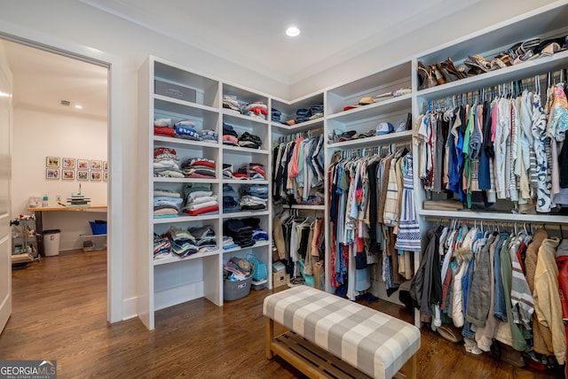 spacious closet featuring dark hardwood / wood-style floors