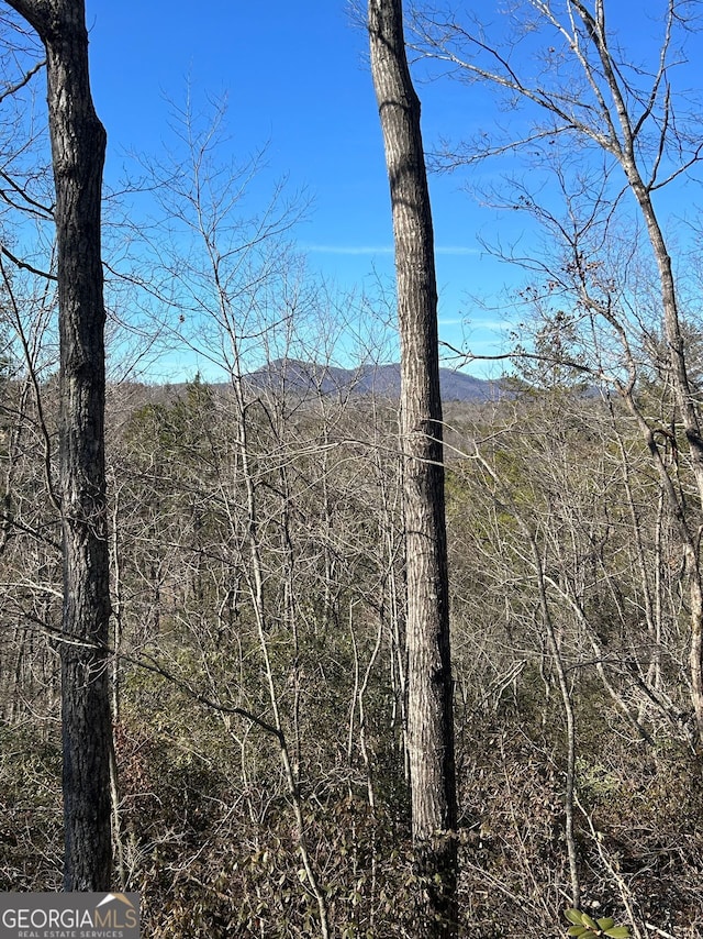 view of mountain feature