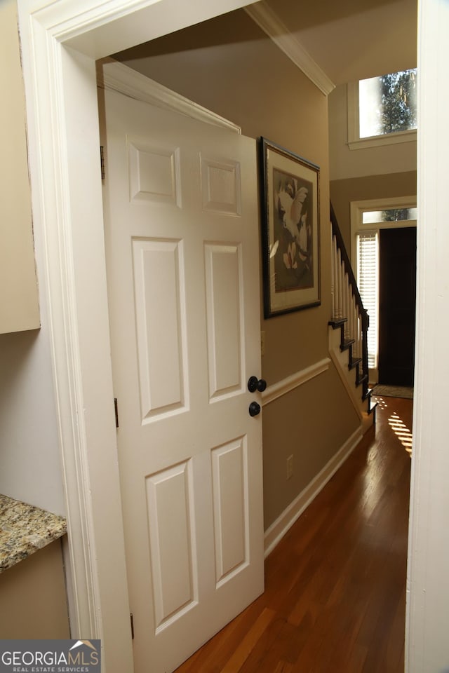 hall with dark hardwood / wood-style floors and crown molding