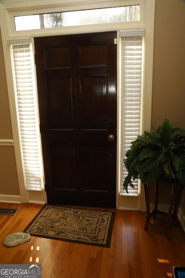 foyer featuring wood-type flooring