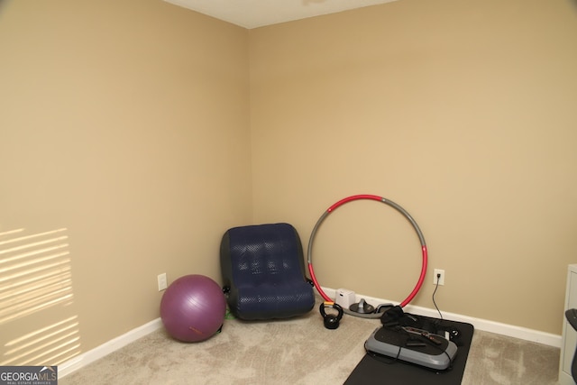 exercise room featuring light carpet