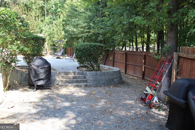 view of yard featuring a patio