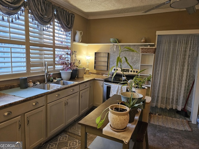 kitchen with electric stove, a wealth of natural light, sink, and a textured ceiling