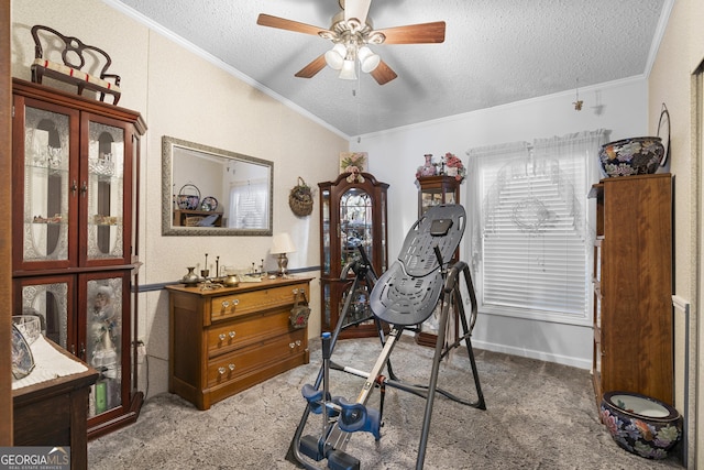 exercise area featuring carpet flooring, crown molding, and a textured ceiling