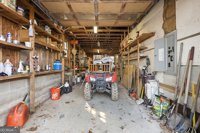 storage featuring electric panel