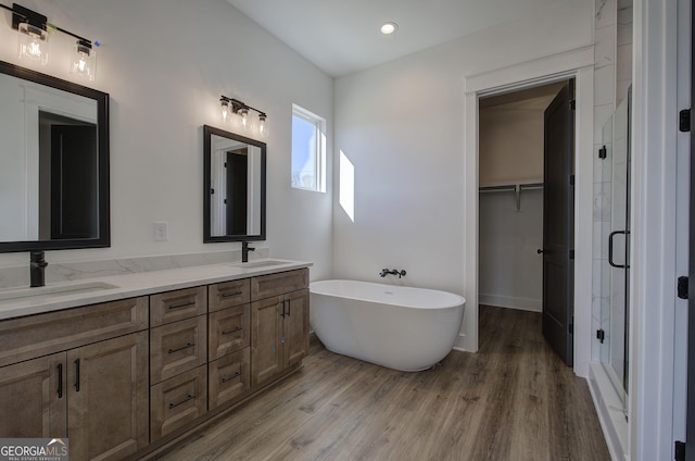 bathroom featuring vanity, plus walk in shower, and wood-type flooring