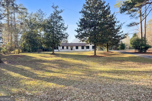 ranch-style house featuring a front yard